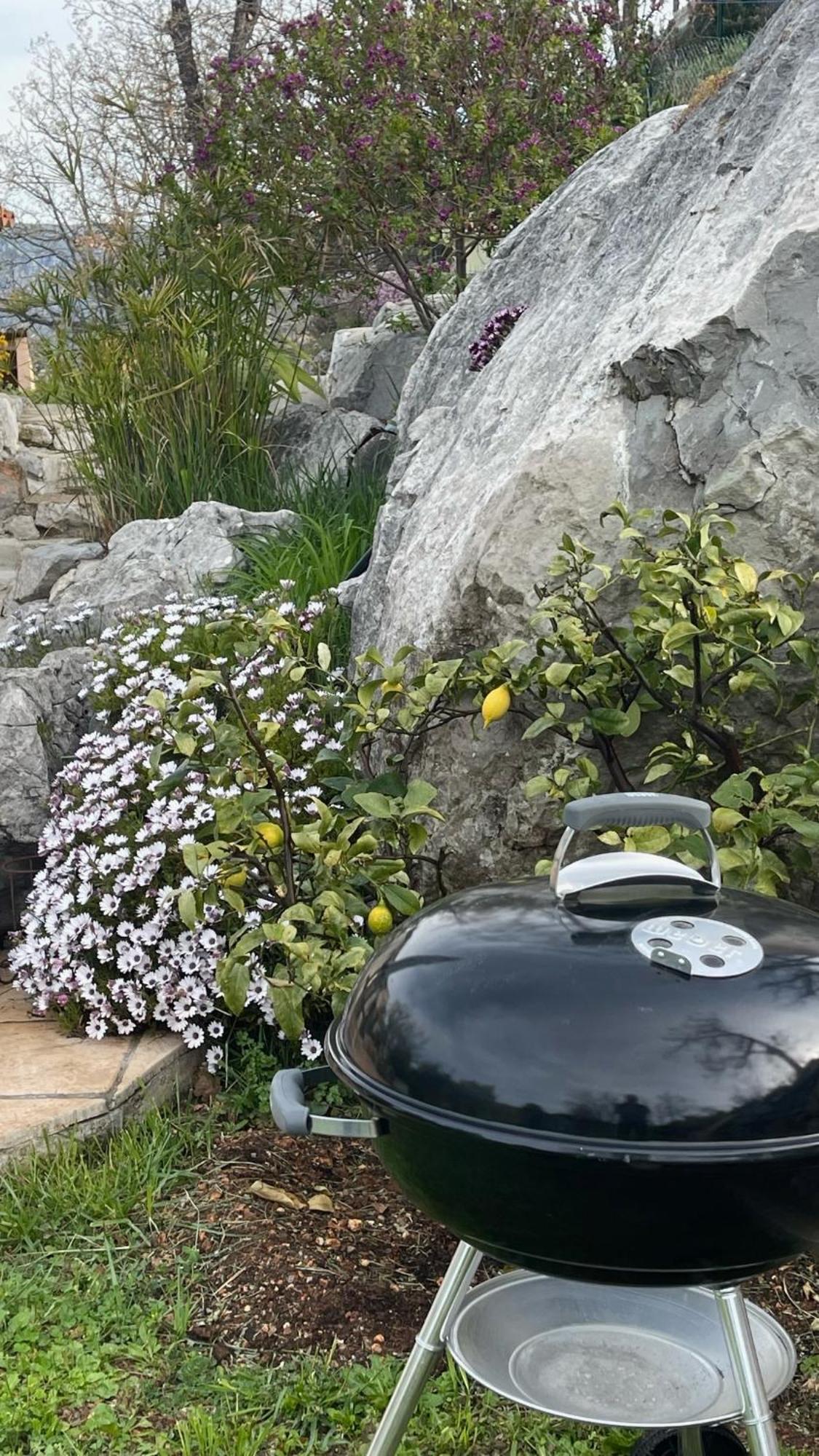 Rez De Jardin, Entre Mer Et Montagne Levens Extérieur photo