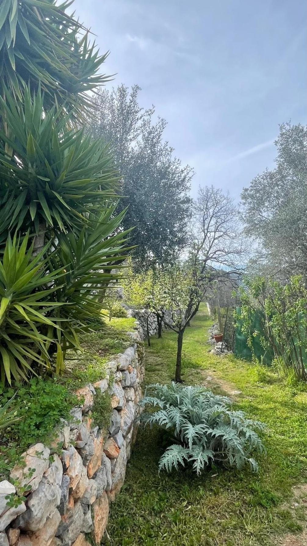 Rez De Jardin, Entre Mer Et Montagne Levens Extérieur photo
