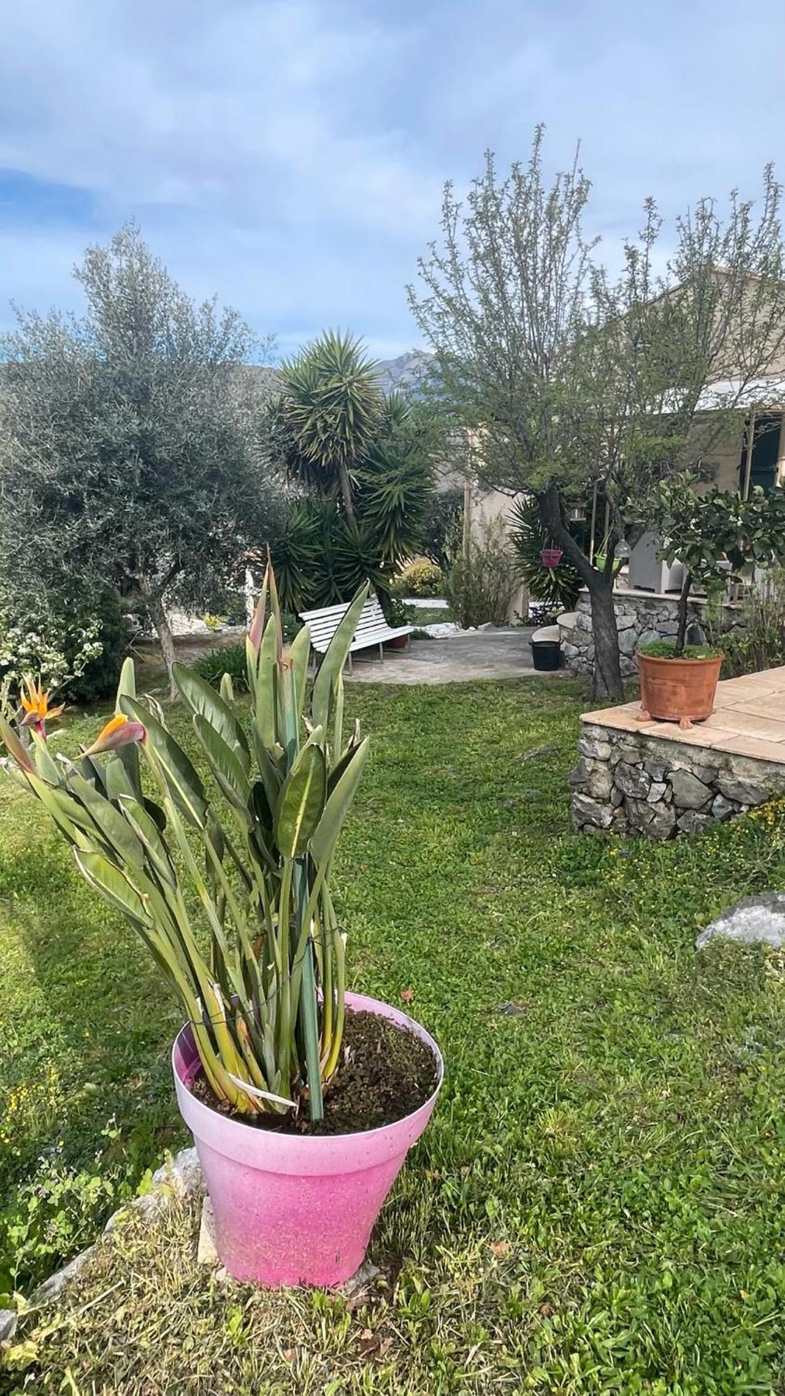 Rez De Jardin, Entre Mer Et Montagne Levens Extérieur photo