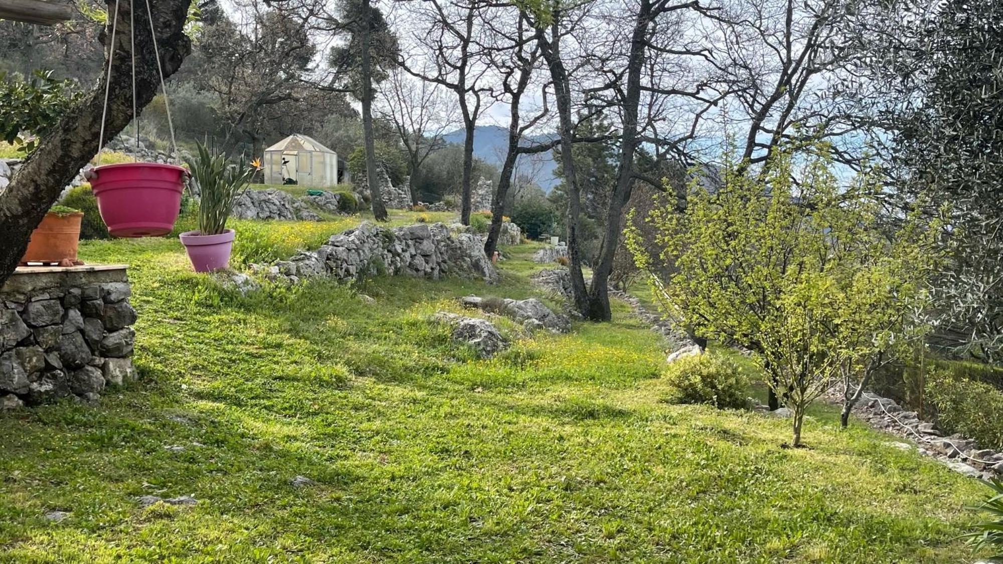 Rez De Jardin, Entre Mer Et Montagne Levens Extérieur photo