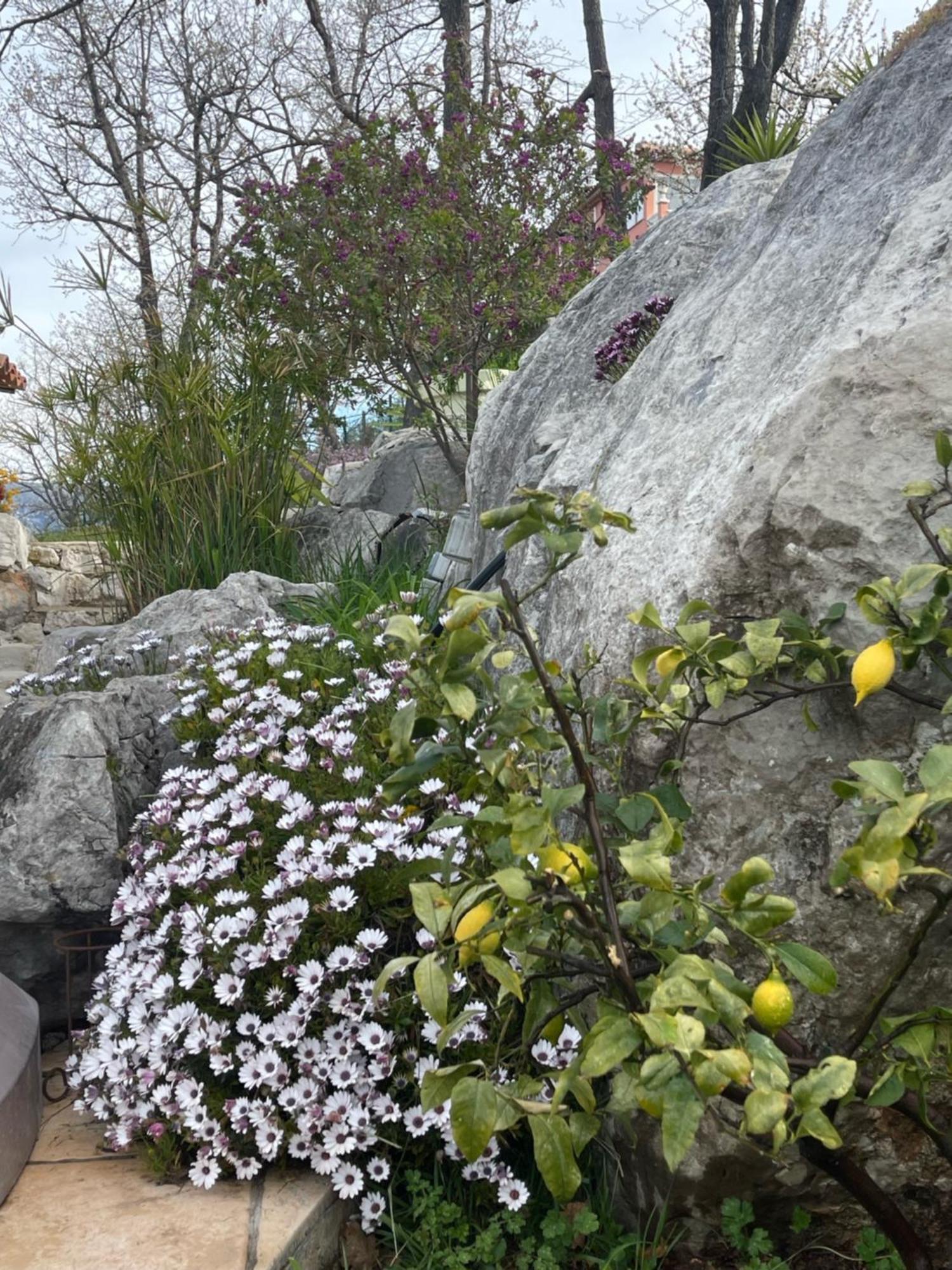 Rez De Jardin, Entre Mer Et Montagne Levens Extérieur photo